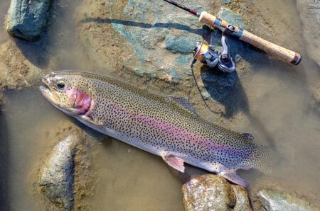ポカポカの一日 ～天竜川ルアーフライテンカラ専用区～
